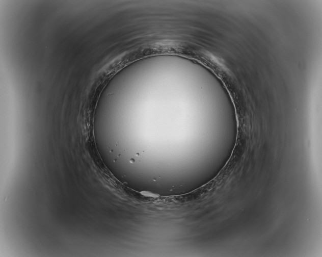 X0000086731015200704271626