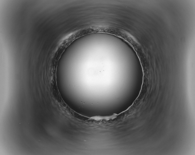 X0000086731016200704271626