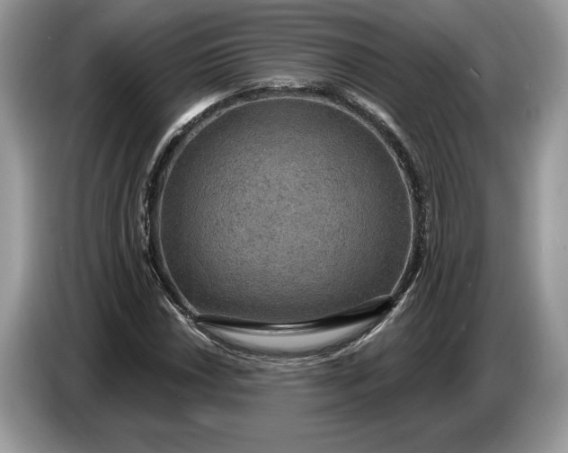 X0000086731018200704271626