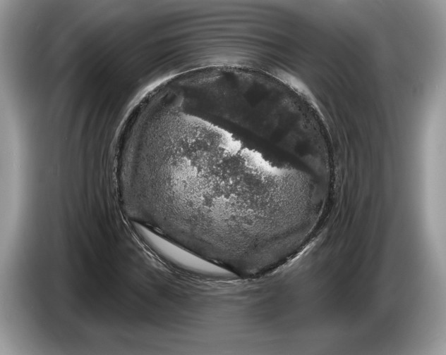 X0000086731019200704271626