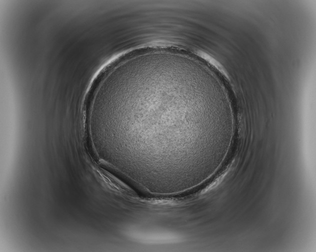 X0000086731021200704271626