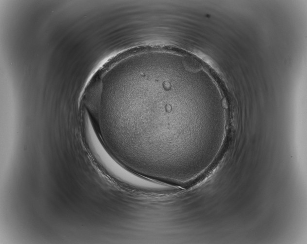 X0000086731022200704271626