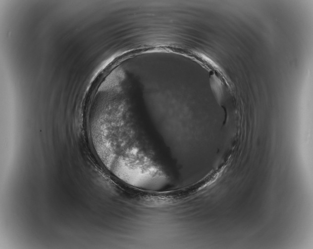 X0000086731023200704271626