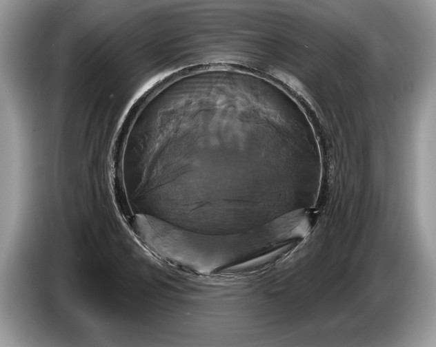 X0000086731024200704271626