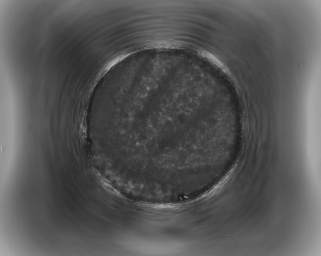 X0000086731025200704271626