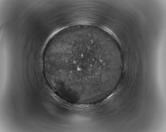 X0000086731027200704271626