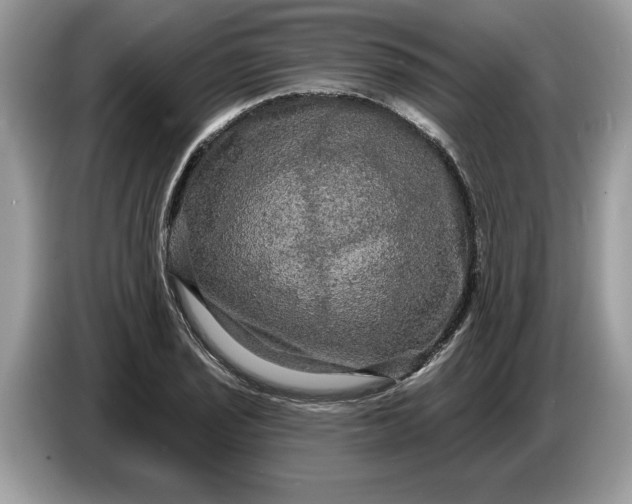 X0000086731029200704271626