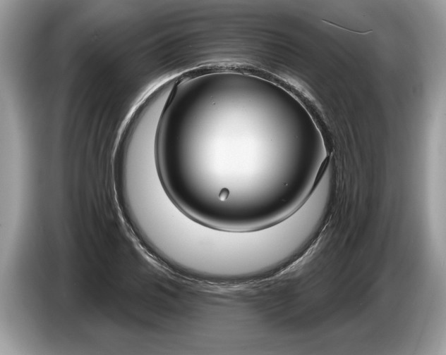 X0000086731030200704271626