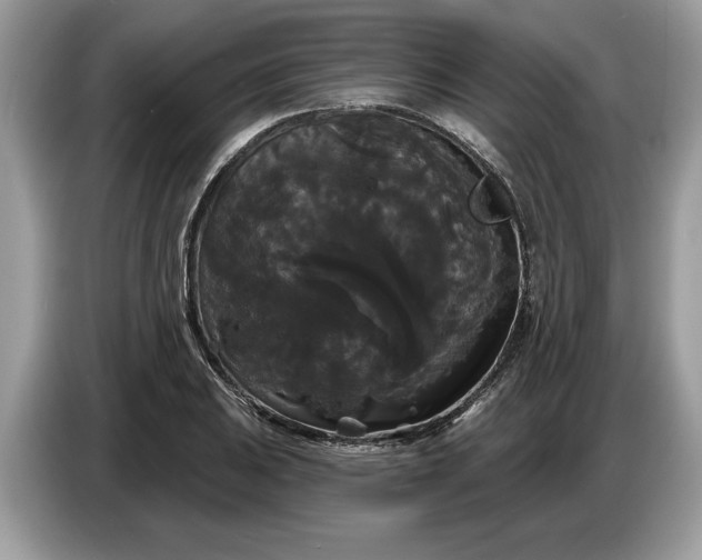 X0000086731031200704271626