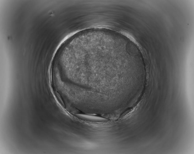 X0000086731032200704271626