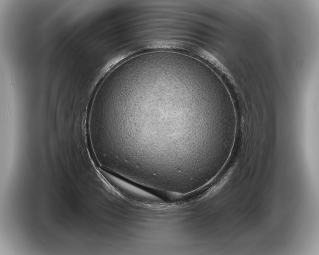 X0000086731033200704271626