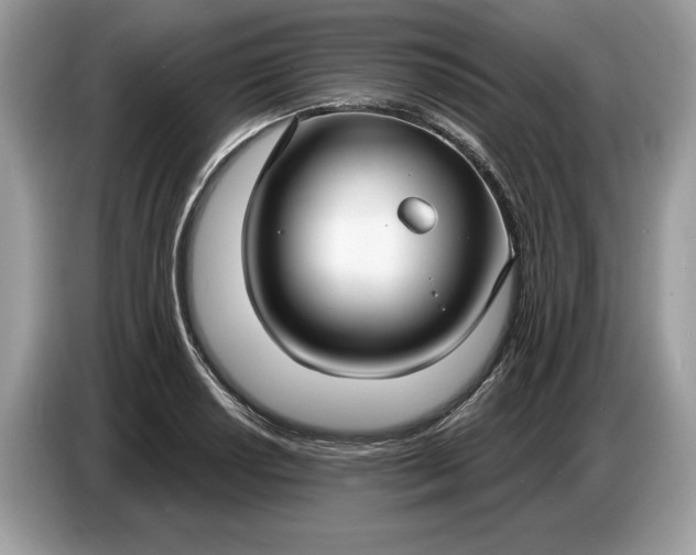 X0000086731034200704271626