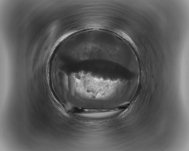 X0000086731035200704271626