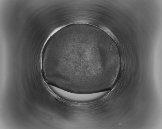 X0000086731036200704271626