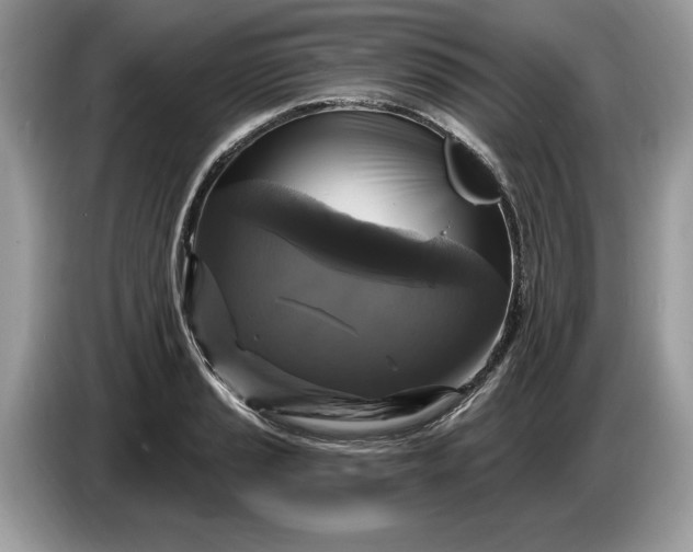 X0000086731037200704271626