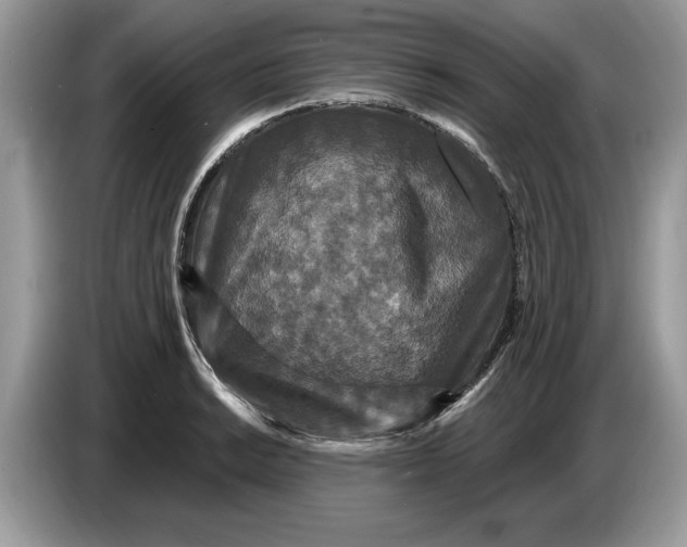 X0000086731038200704271626