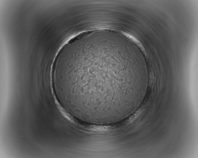 X0000086731039200704271626