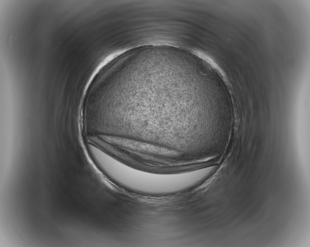 X0000086731040200704271626