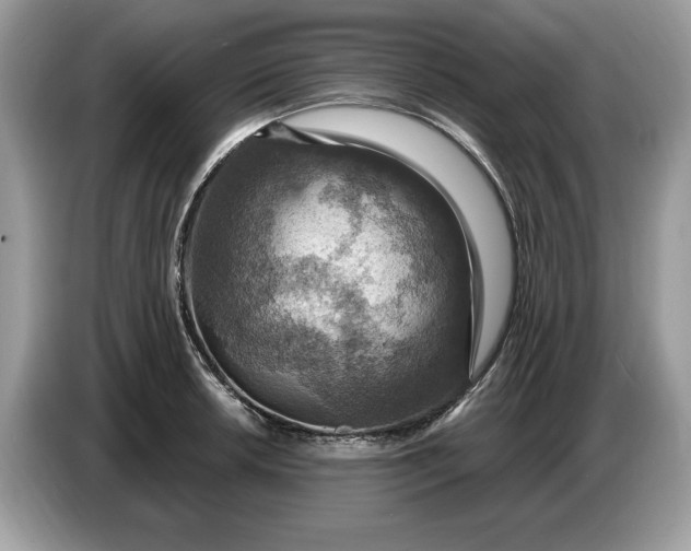 X0000086731042200704271626