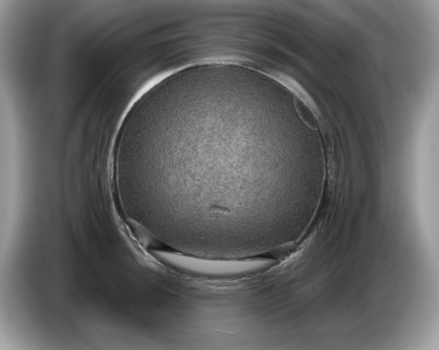 X0000086731044200704271626