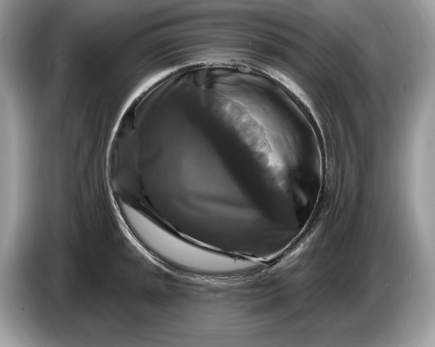 X0000086731045200704271626