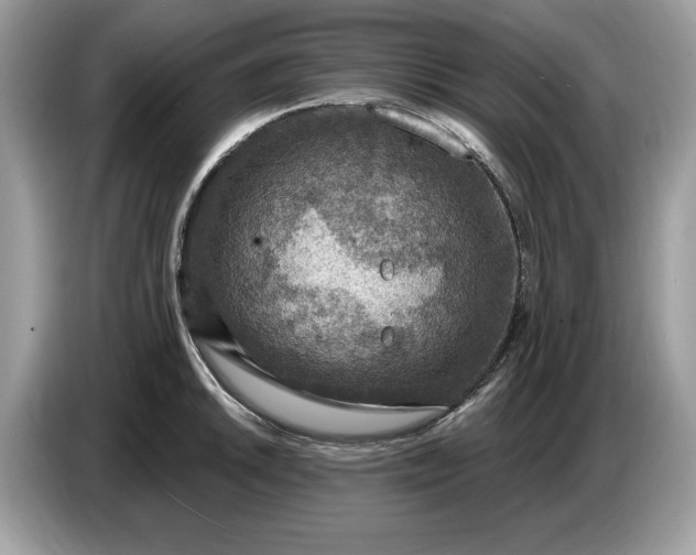 X0000086731046200704271626