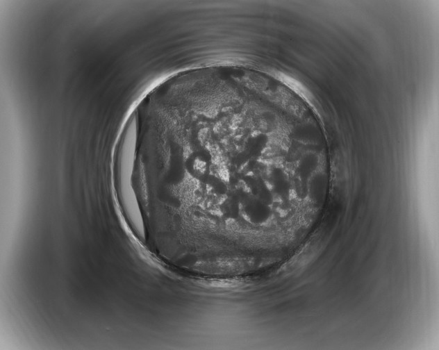 X0000086731047200704271626