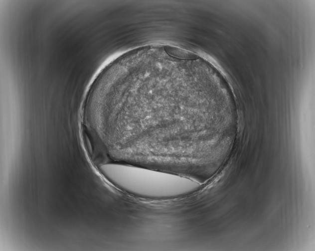 X0000086731048200704271626