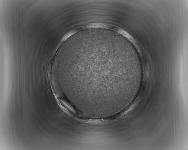 X0000086731049200704271626