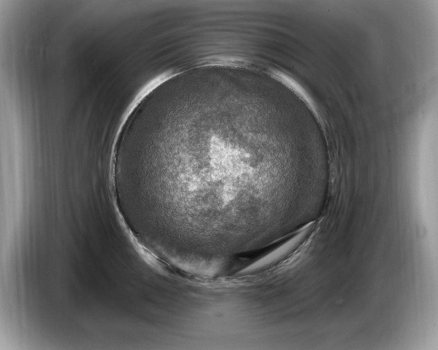 X0000086731050200704271626