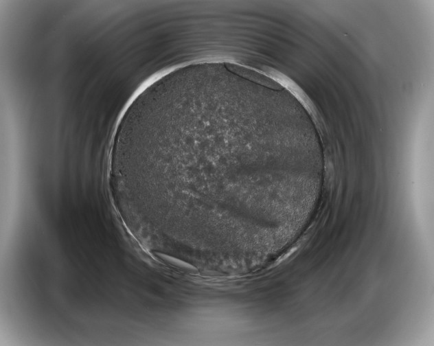 X0000086731052200704271627