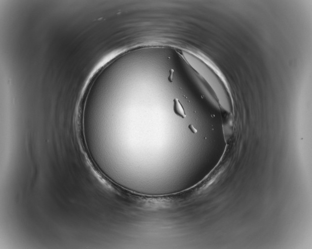 X0000086731053200704271627