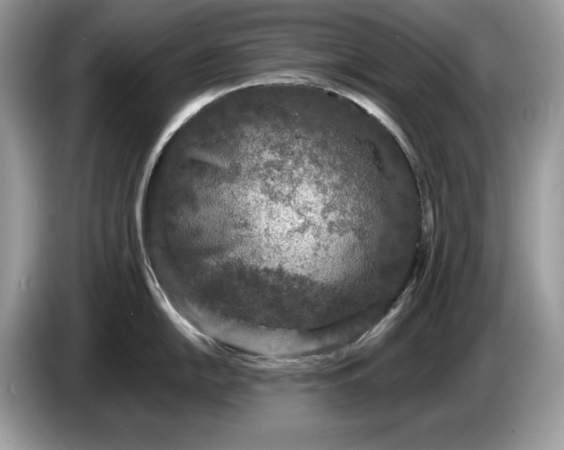 X0000086731054200704271627