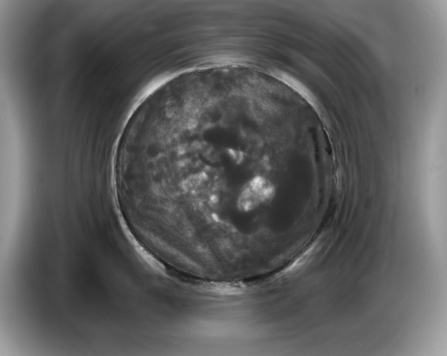 X0000086731055200704271627