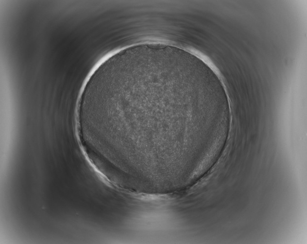 X0000086731056200704271627