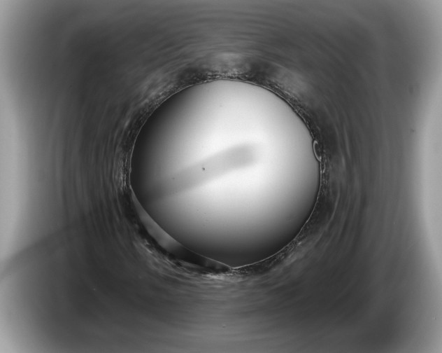 X0000086731058200704271626