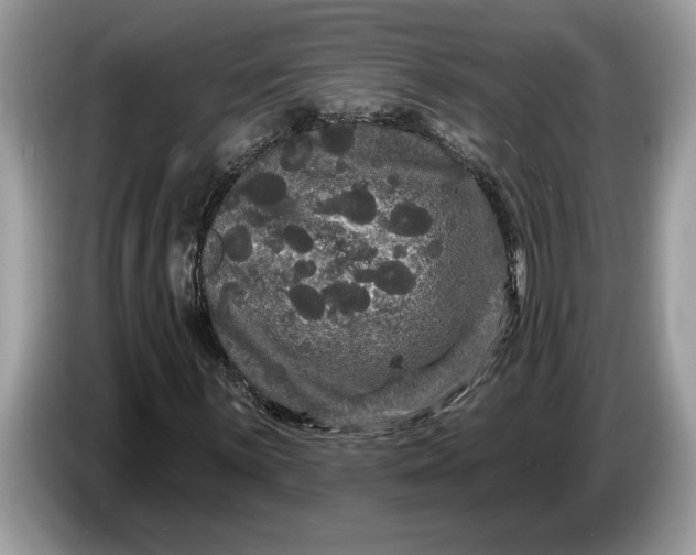 X0000086731059200704271626