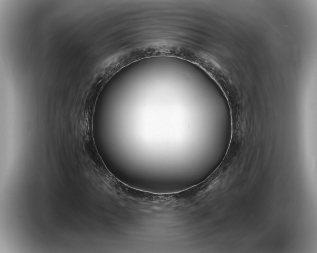 X0000086731062200704271626