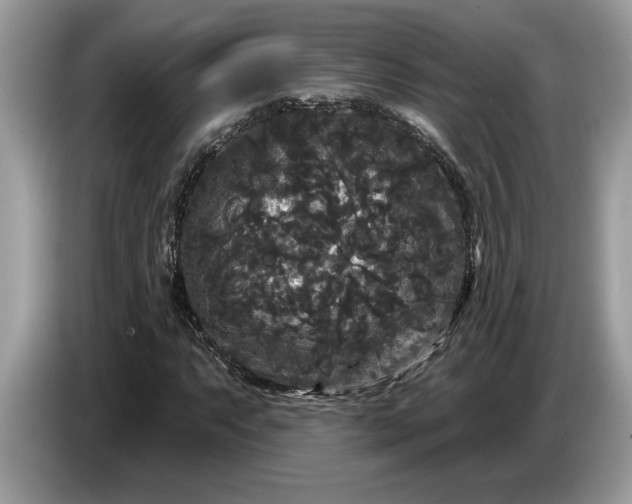 X0000086731063200704271626