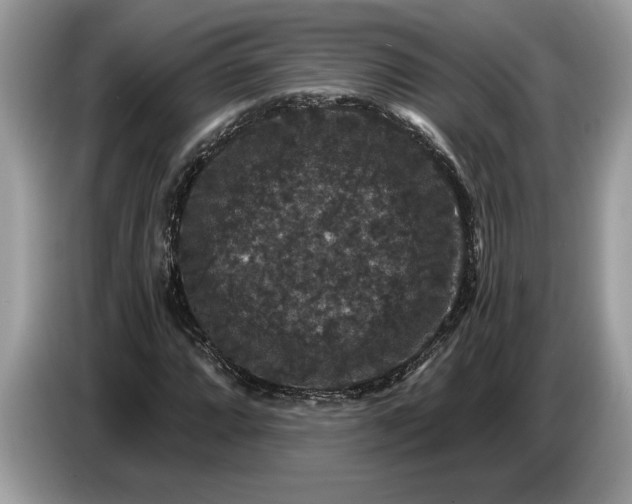 X0000086731064200704271626