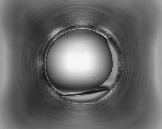 X0000086731065200704271626