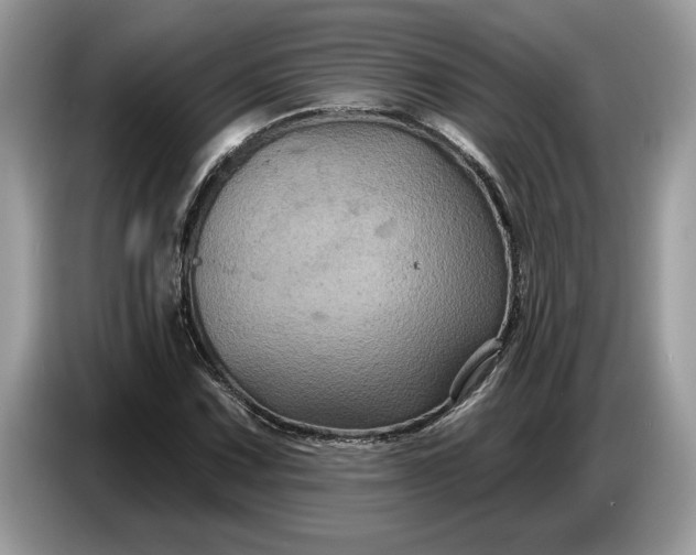 X0000086731067200704271626