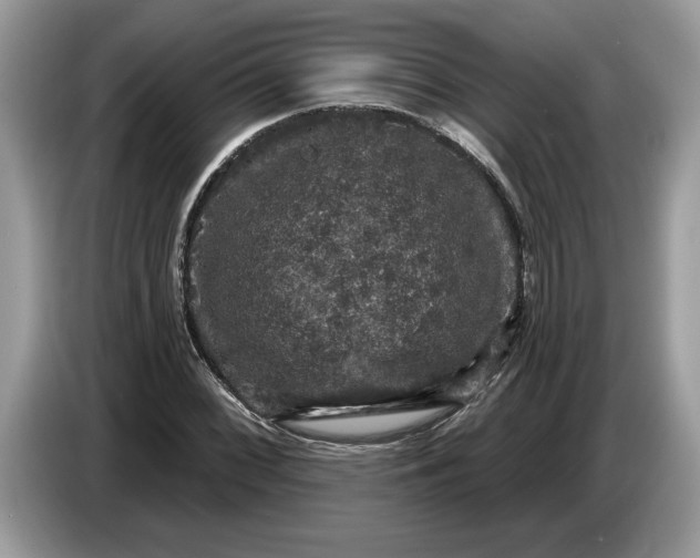 X0000086731068200704271626