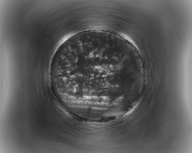 X0000086731071200704271626