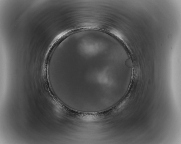 X0000086731074200704271626