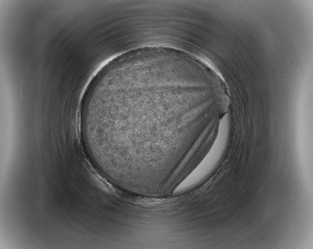 X0000086731076200704271626