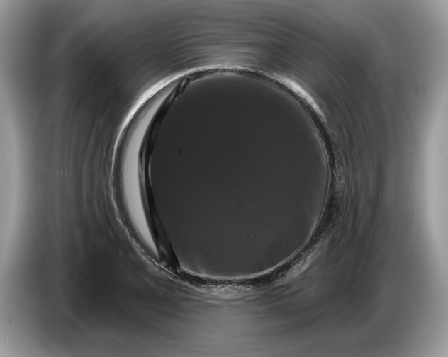 X0000086731077200704271626