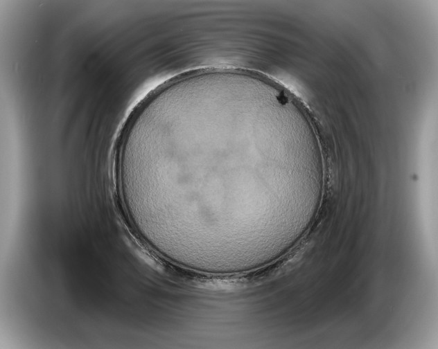 X0000086731078200704271626