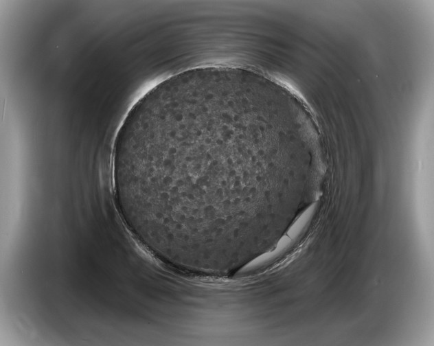 X0000086731079200704271626