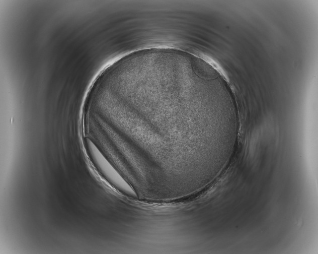 X0000086731080200704271626